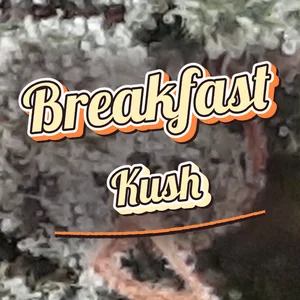 Breakfast Kush Cannabis Strain