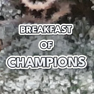 Breakfast of Champions Cannabis Strain