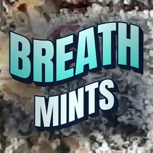 Breath Mints Cannabis Strain