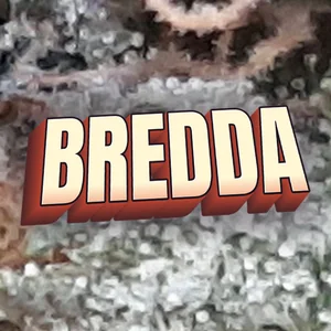 Bredda Cannabis Strain