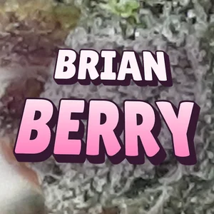 Brian Berry Cannabis Strain