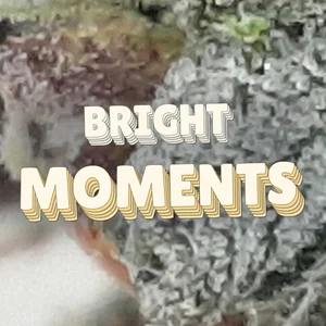 Bright Moments Cannabis Strain
