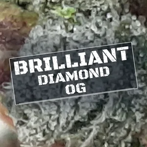 Brilliant Diamond OG Cannabis Strain
