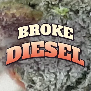 Broke Diesel Cannabis Strain