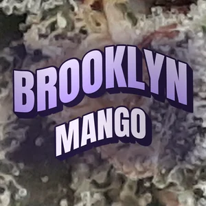 Brooklyn Mango Cannabis Strain