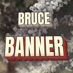Bruce Banner Cannabis Strain