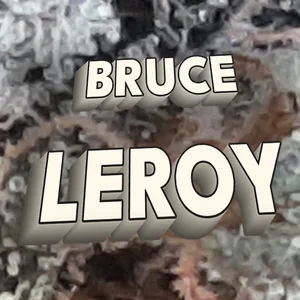 Bruce Leroy Cannabis Strain