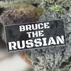 Bruce the Russian Cannabis Strain