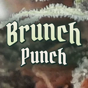 Brunch Punch Cannabis Strain