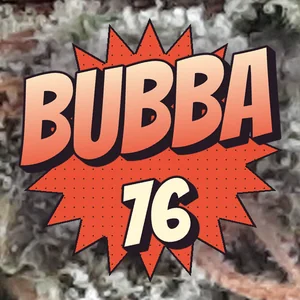 Bubba 76 Cannabis Strain