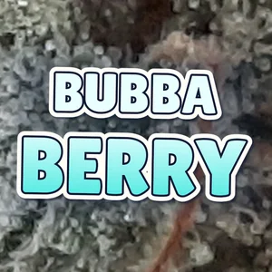 Bubba Berry Cannabis Strain