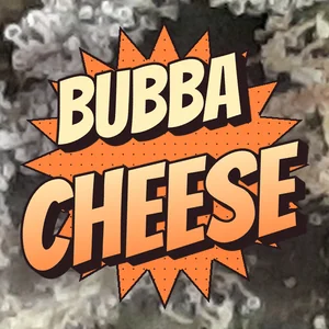 Bubba Cheese Cannabis Strain