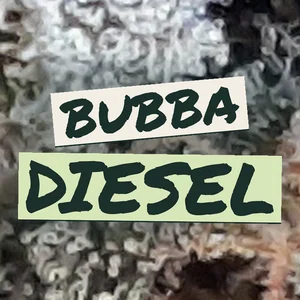 Bubba Diesel Cannabis Strain