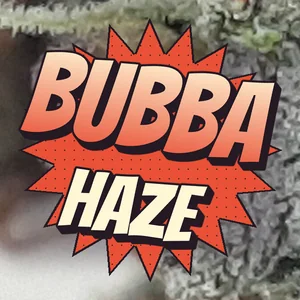 Bubba Haze Cannabis Strain