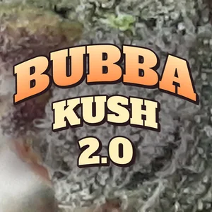 Bubba Kush 2.0 Cannabis Strain