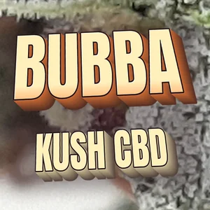 Bubba Kush CBD Cannabis Strain