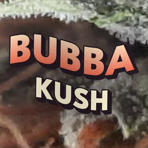 Bubba Kush Cannabis Strain