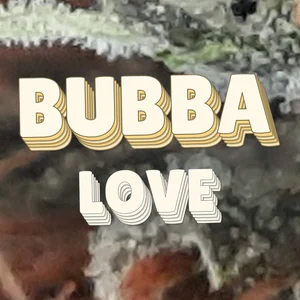 Bubba Love Cannabis Strain
