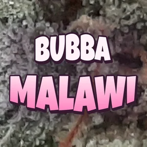 Bubba Malawi Cannabis Strain
