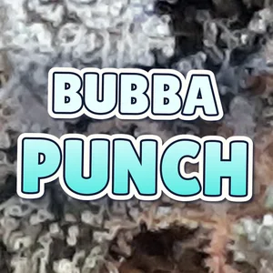 Bubba Punch Cannabis Strain