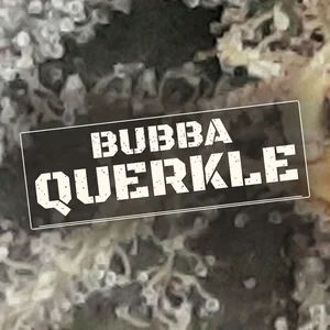 Bubba Querkle Cannabis Strain