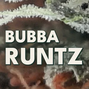 Bubba Runtz Cannabis Strain