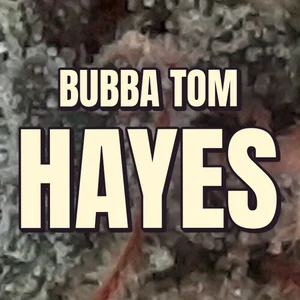 Bubba Tom Hayes Cannabis Strain