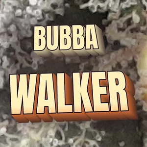 Bubba Walker Cannabis Strain