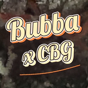 Bubba x CBG Cannabis Strain