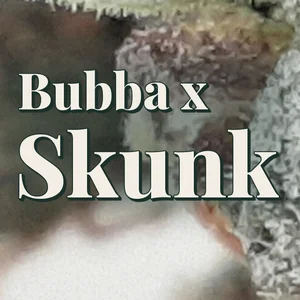 Bubba x Skunk Cannabis Strain