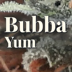 Bubba Yum Cannabis Strain