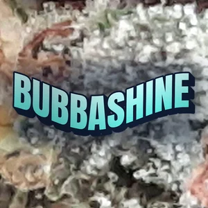 Bubbashine Cannabis Strain