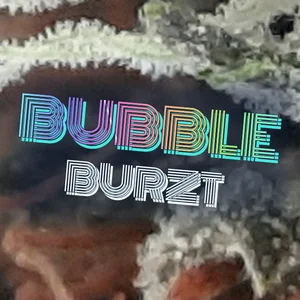 Bubble Burzt Cannabis Strain