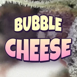 Bubble Cheese Cannabis Strain