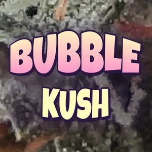 Bubble Kush Cannabis Strain