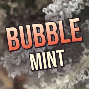 Bubble Mint Cannabis Strain