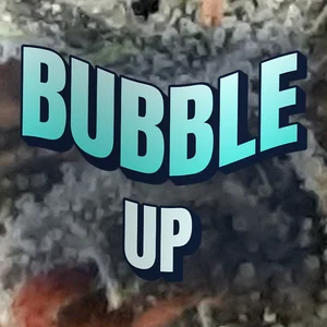 Bubble Up Cannabis Strain