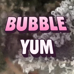 Bubble Yum Cannabis Strain