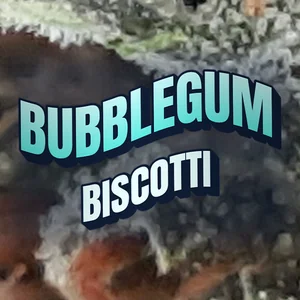 Bubblegum Biscotti Cannabis Strain