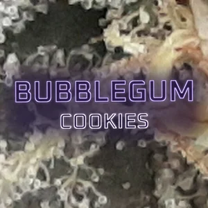 Bubblegum Cookies Cannabis Strain