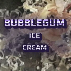 Bubblegum Ice Cream Cannabis Strain