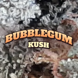 Bubblegum Kush Cannabis Strain