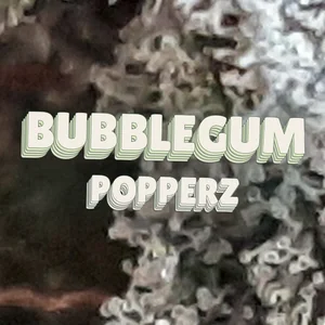 Bubblegum Popperz Cannabis Strain
