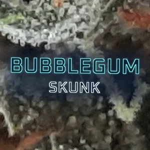 Bubblegum Skunk Cannabis Strain