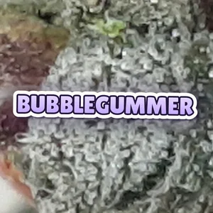 Bubblegummer Cannabis Strain