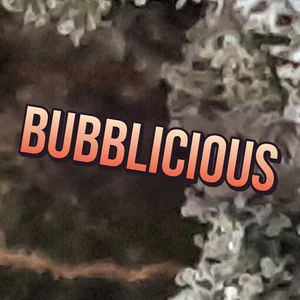 Bubblicious Cannabis Strain