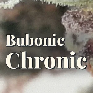 Bubonic Chronic Cannabis Strain