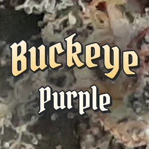 Buckeye Purple Cannabis Strain