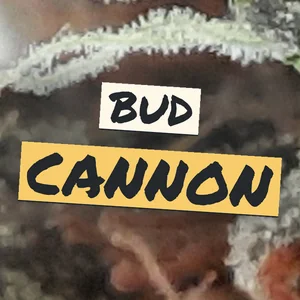 Bud Cannon Cannabis Strain