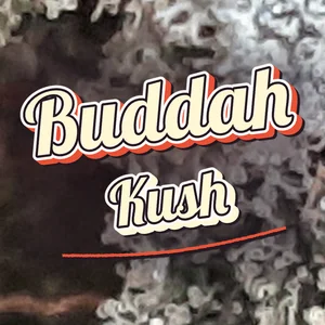 Buddah Kush Cannabis Strain